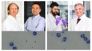 Das Foto zeigt eine Collage mit Porträts von vier Personen und Mikroskopaufnahmen der Immunzellen Neutrophilen Granulozyten; Von oben links nach rechts: Prof. Dr. Matthias Gunzer, Prof. Dr. Jianxu Chen, Dr. Belal Alshaar und Prof. Dr. Albert Sickmann.